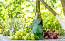 Grapes, Juice, Wine, and Vine Leaves