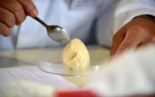 Ice Cream Research